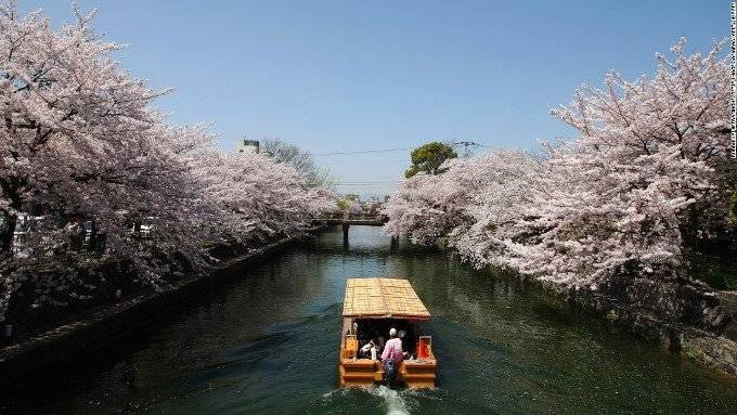 Cố đô Kyoto - Nàng thơ xứ anh đào Ảnh 2