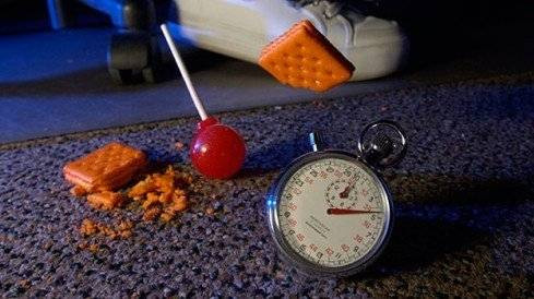 Thực hư về 'quy luật 5 giây' khi đồ ăn rớt xuống đất Ảnh 2