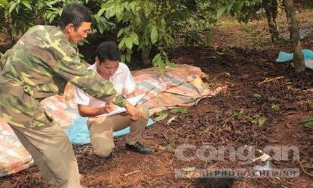 Tình tiết mới trong vụ cô giáo bị người tình học sinh sát hại trong vườn cà phê Ảnh 2