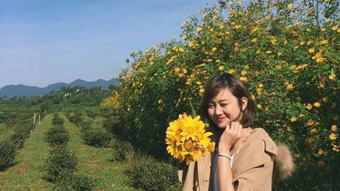 Đừng bỏ lỡ mùa hoa dã quỳ đẹp mê hồn ở Đà Lạt Ảnh 2