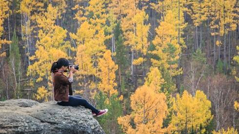 Đến Siberia mùa thu ngắm rừng Taiga đẹp sững sờ Ảnh 2