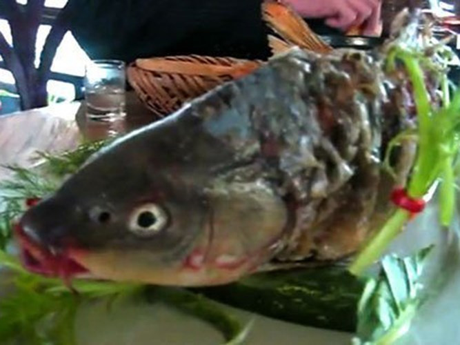 Khách hàng kinh ngạc chứng kiến con cá sống lại trên đĩa Ảnh 2