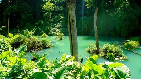 Màu xanh kỳ diệu ở thác Gia Long - 'thế giới bị lãng quên' Ảnh 2
