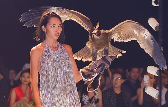 Đại bàng xuất hiện trong Elle fashion show Ảnh 2