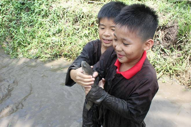 Bắt cá, vắt sữa bò phải trả phí ở TP HCM Ảnh 2