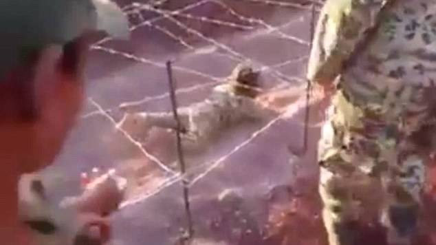 Hãi hùng buổi huấn luyện của khủng bố IS nhí Ảnh 2