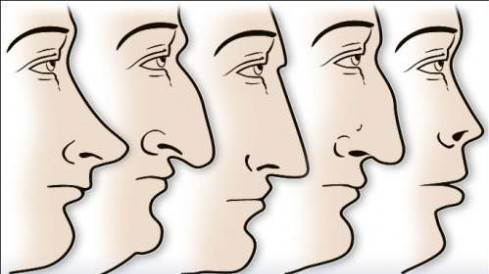 Đoán tính cách thông qua hình dáng chiếc mũi Ảnh 2