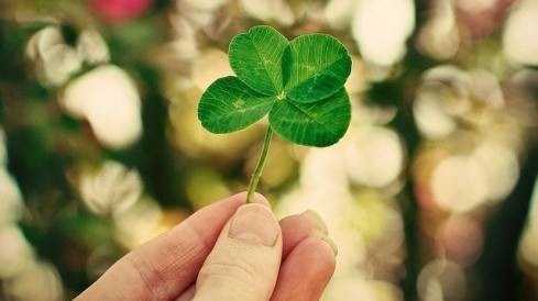 4 con giáp cực kỳ may mắn trong tháng 11 Ảnh 2