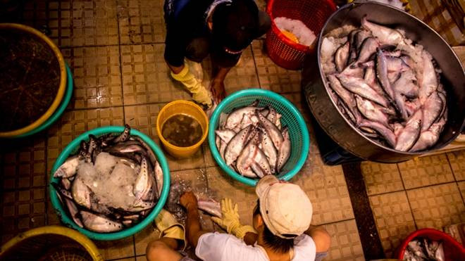 Đêm trắng ở chợ thủy sản lớn nhất Sài Gòn Ảnh 2