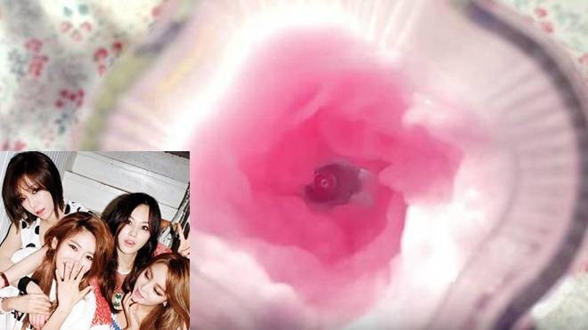 Brown Eyed Girls bị chỉ trích vì hình ảnh nhạy cảm trong MV Ảnh 2