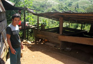 Tự tử vì lợn nái đẻ toàn con đực Ảnh 2