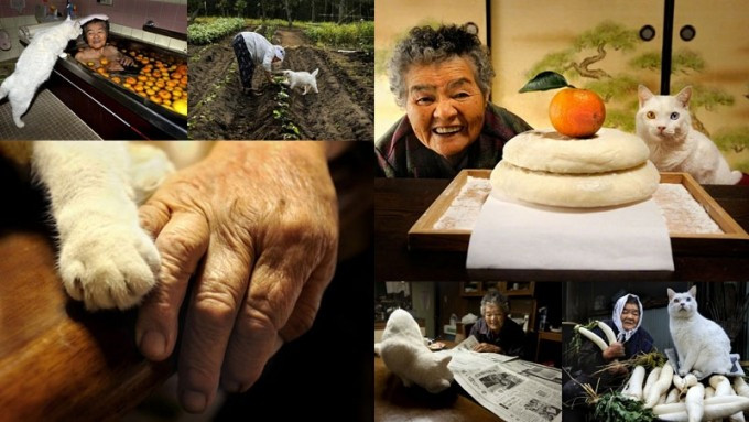 'Ghen tị' với cuộc sống bình yên của bà cụ nông dân và chú mèo cưng Ảnh 2