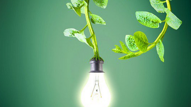 Đèn học có thể chạy bằng điện lấy từ cây xanh Ảnh 2