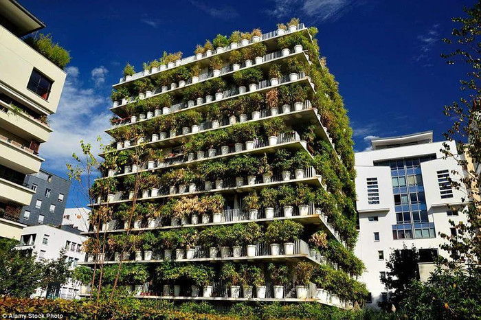 Cư dân Paris háo hức sống trong rừng tre triệu đô Ảnh 2