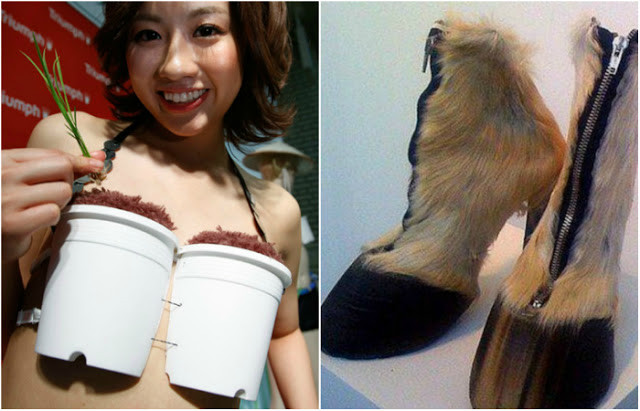 Cười té ghế với những trào lưu 'ngớ ngẩn' nhất 2015 Ảnh 2