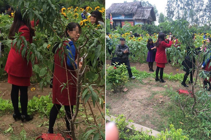 Dân mạng phẫn nộ vì vườn hoa trong chùa ở Bắc Ninh bị dẫm nát Ảnh 2