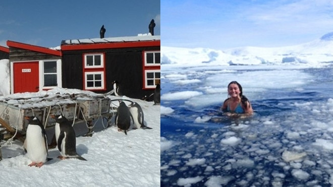 Cô gái làm việc ở Nam Cực phải tắm trong băng Ảnh 2