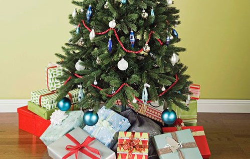 Cây thông Noel 'giết người': Phát hiện gây hoang mang tột độ Ảnh 2