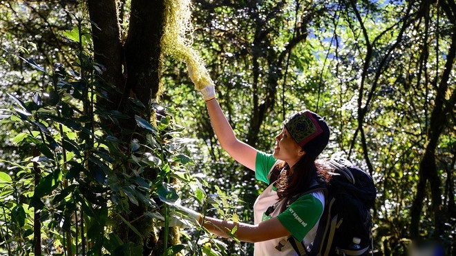 Hành trình chinh phục Tả Liên Sơn hùng vỹ Ảnh 2