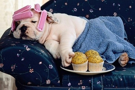 7 lý do người lười biếng dễ thành công hơn Ảnh 2