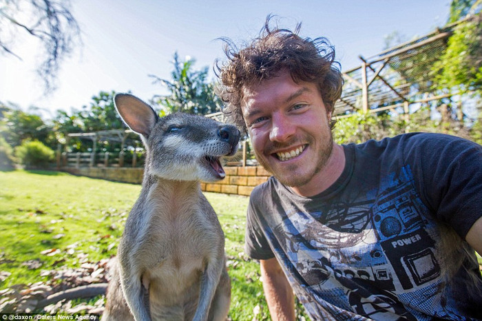Thán phục biệt tài rủ động vật chụp ảnh selfie của chàng trai Ireland Ảnh 2