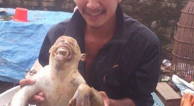 Phẫn nộ với thanh niên giết khỉ nấu cao rồi đăng ảnh lên Facebook Ảnh 2