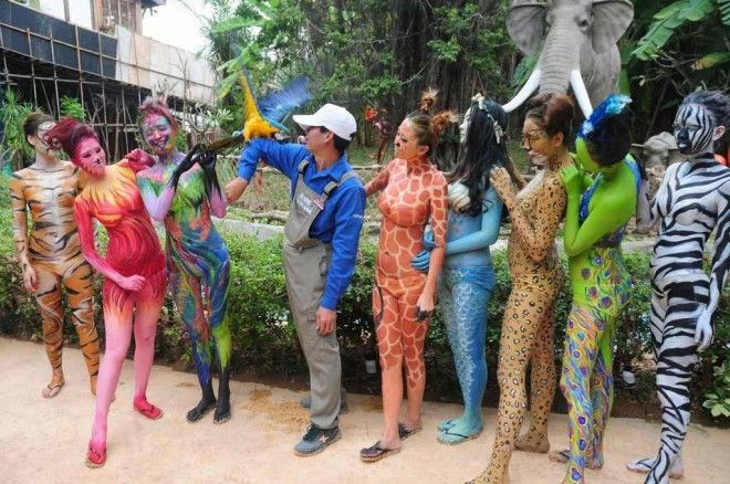 'Nổ mắt' trước vẻ nóng bỏng của các người đẹp 'hóa thú' Ảnh 2