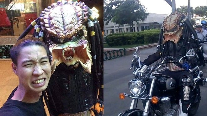'Quái vật ngoài hành tinh' Predator đến Sài Gòn du lịch? Ảnh 2