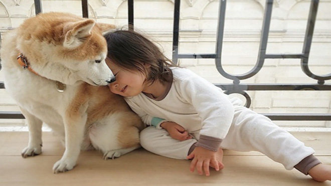20 bức hình chứng minh ai cũng cần có một chú chó làm bạn Ảnh 2