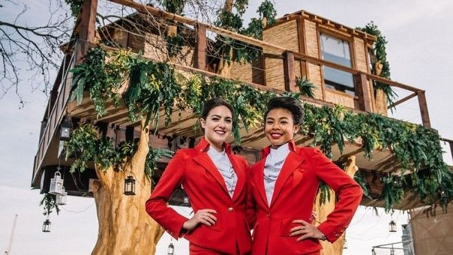 Ngắm sông Thames từ khách sạn trên cây ngay trung tâm Luân Đôn Ảnh 2