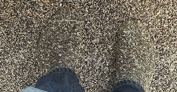 Ngộ nghĩnh những bức ảnh trùng hợp đến khó tin Ảnh 2