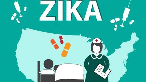 [Infographic] Virus 'ăn não' Zika và những điều cần phải biết Ảnh 2