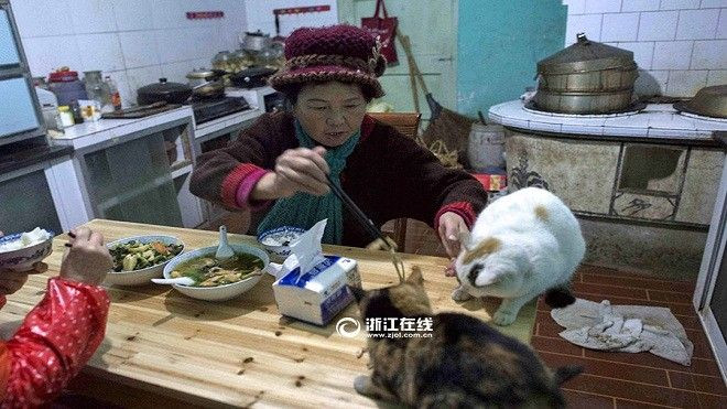 Bán nhà 6 tỷ đồng lấy tiền cưu mang chó mèo hoang Ảnh 2