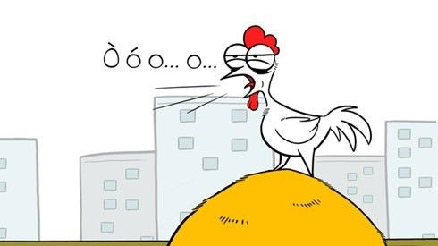 Bật cười trước số phận éo le của… kiếp con gà Ảnh 2