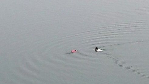 Chèo thuyền ra giữa sông cứu người nhảy cầu ngay mùng 3 Tết Ảnh 2