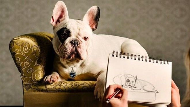 Hài hước những cặp chủ - chó 'nhái' phim tình cảm kinh điển Ảnh 2