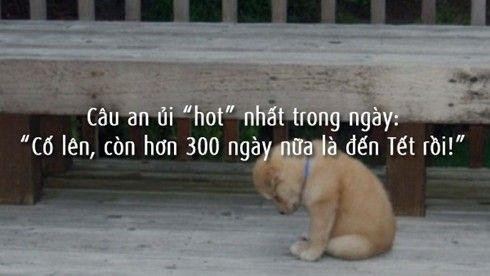 Thức tỉnh đi, Tết đã hết thật rồi! Ảnh 2