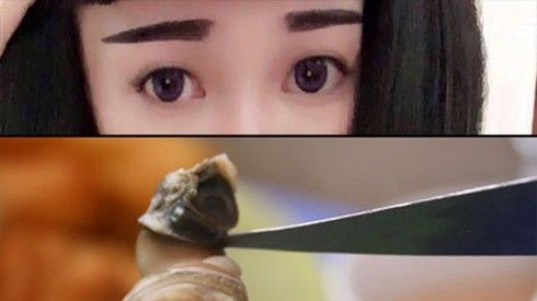 Mốt lông mày sâu róm của chị em giống cái gì ngoài đời thực? Ảnh 2