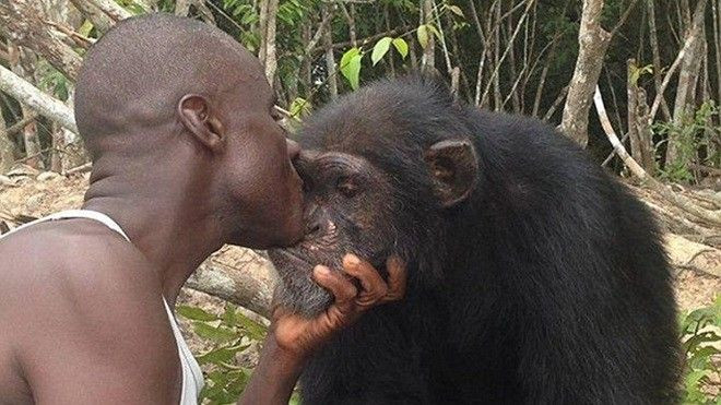 Chú tinh tinh cô độc và bài học về lòng bao dung Ảnh 2