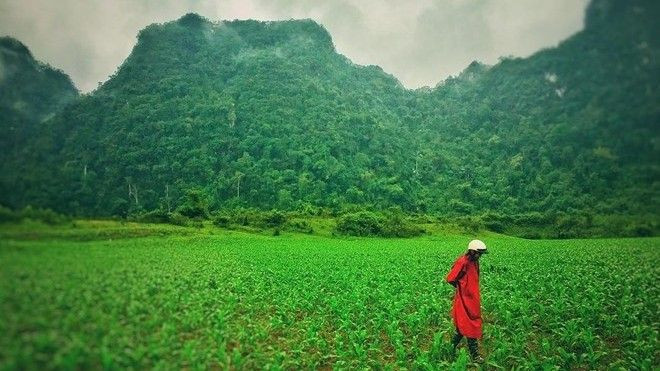 Ninh Bình giữ lại phim trường 'Kong: Skull Island' làm điểm tham quan Ảnh 2