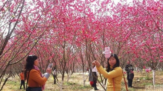 Đến cả nơi đáng sợ thế này mà các 'tín đồ sống ảo' cũng không tha! Ảnh 2