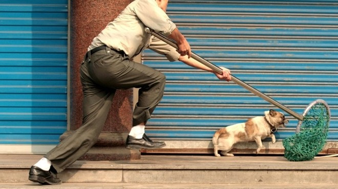 Đánh chết trộm chó ở Việt Nam dưới góc nhìn người nước ngoài Ảnh 2