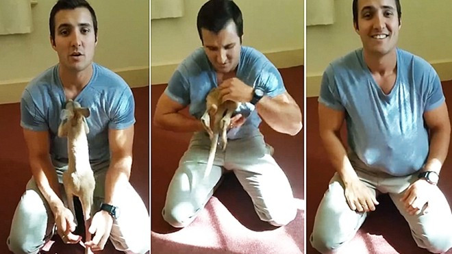 'Tình mẫu tử' diệu kỳ của chàng cảnh sát đẹp trai và bé chuột túi mồ côi Ảnh 2