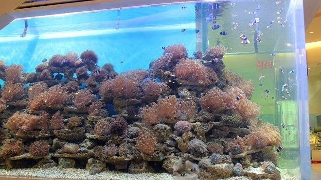 Bán nước biển 300.000 đồng/m3 ở Sài Gòn Ảnh 2