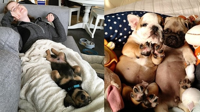 Hot girl khoe eo con kiến xưa rồi Diễm, giờ là thời cún yêu khoe rốn xinh Ảnh 2