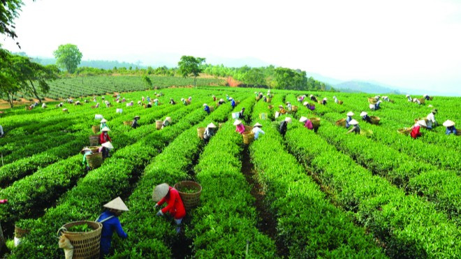 Lịch trình 4 ngày khám phá Cát Tiên - Bảo Lộc Ảnh 2