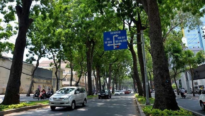 Không có việc đốn hạ 300 cây xanh ở Sài Gòn Ảnh 2