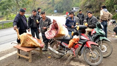 Lào Cai: Rét 'nàng Bân' khiến trâu Sa Pa lại chết hàng loạt Ảnh 2