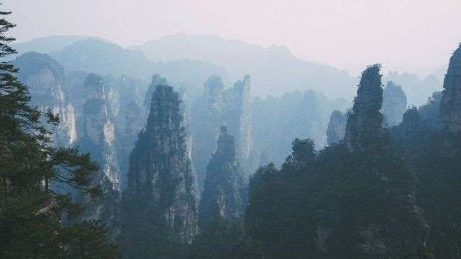 'Tiên cảnh hạ giới' của Avatar đầy cuốn hút qua clip quay bằng Canon 7D Ảnh 2