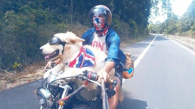 Chuyến du lịch của chú cún và 9x Việt minh chứng: Bạn gái không có, nhưng chó nhất định phải có một con! Ảnh 2